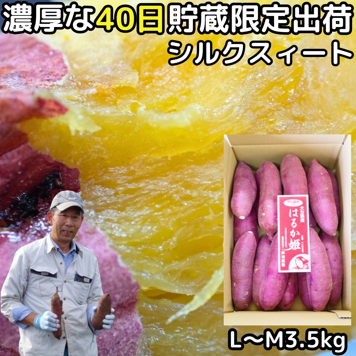 楽天市場】さつまいも 紅はるか 5kg l～m or Sサイズ 完熟 甘い 熟成