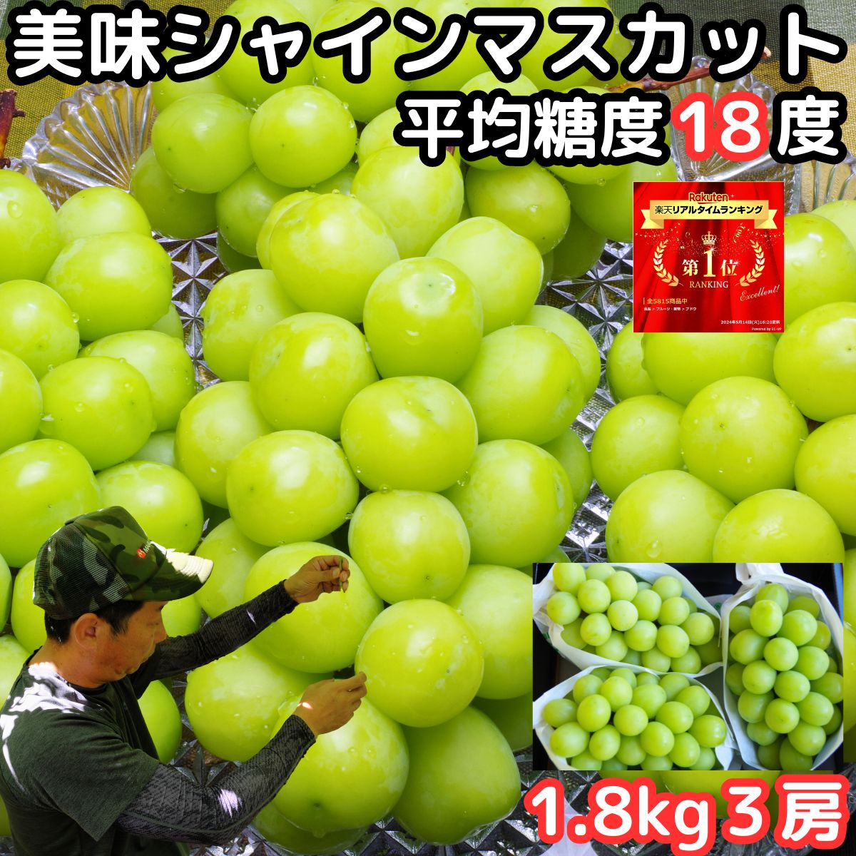 シャインマスカット ギフト 高級 ぶどう 山梨 笛吹市 八代 1.8kg 3房 高糖度 大粒 産地直送 化粧箱入 贈答用 種なし 皮ごと 甘い ブドウ  旬 たねなし フルーツ 葡萄 敬老の日 糖度 送料無料 プレゼント 8月 9月 出産 内祝 山梨県