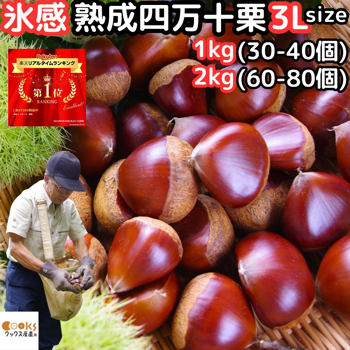 楽天市場】栗 予約 生栗 氷感熟成で甘さがUP 高知 西土佐産 氷感熟成
