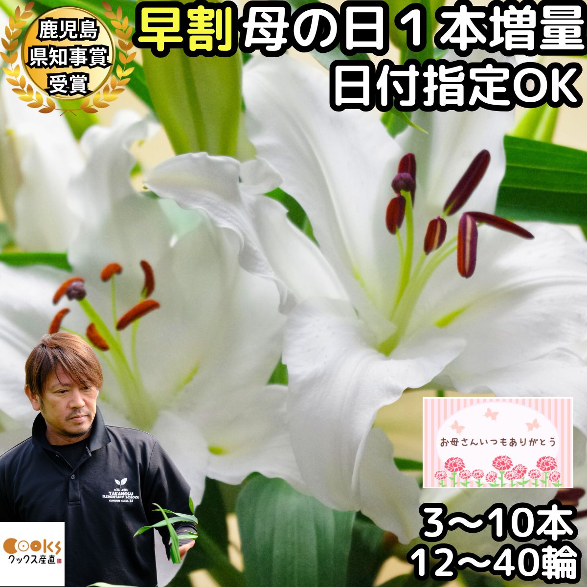 花 ユリ 白 母の日 早割 1本増量 花束 大輪 花持ちが1週間違う ギフト 3本 5本 10本 12輪 20輪 40輪 国産 鹿児島県知事賞受賞 誕生日 ゴージャス プレゼント 生花 百合 ゆり ホワイト ユリ花束 送料無料 結婚記念日 開店祝い 退院祝い 御祝 お祝い お供え にも人気 2026