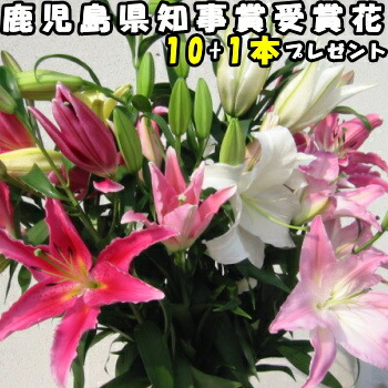 ミックス 開店祝い 鹿児島県知事賞受賞 誕生日 百合 ユリ花束 Mix 花 10本 1本 結婚記念日 誕生日 卒業式 Mix ユリ プレゼント 40 45輪 ゆり 大輪 ホワイトデー ギフト 生花 旬の 増量 花束 花持ちが１週間違う 花農家直送 送料無料