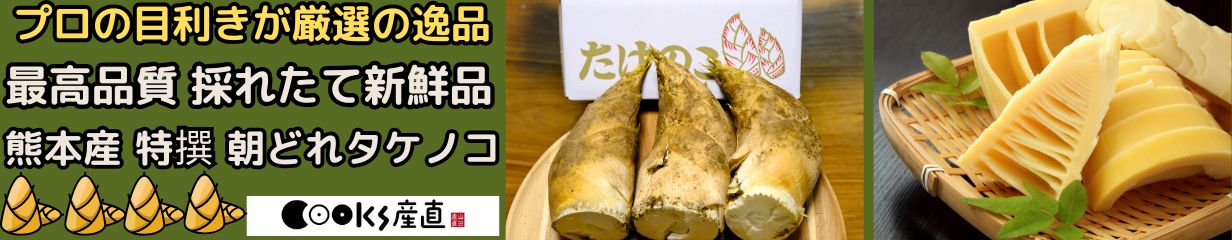 楽天市場】たけのこ 朝掘り 国産 熊本 産地直送 特撰 朝採り 生