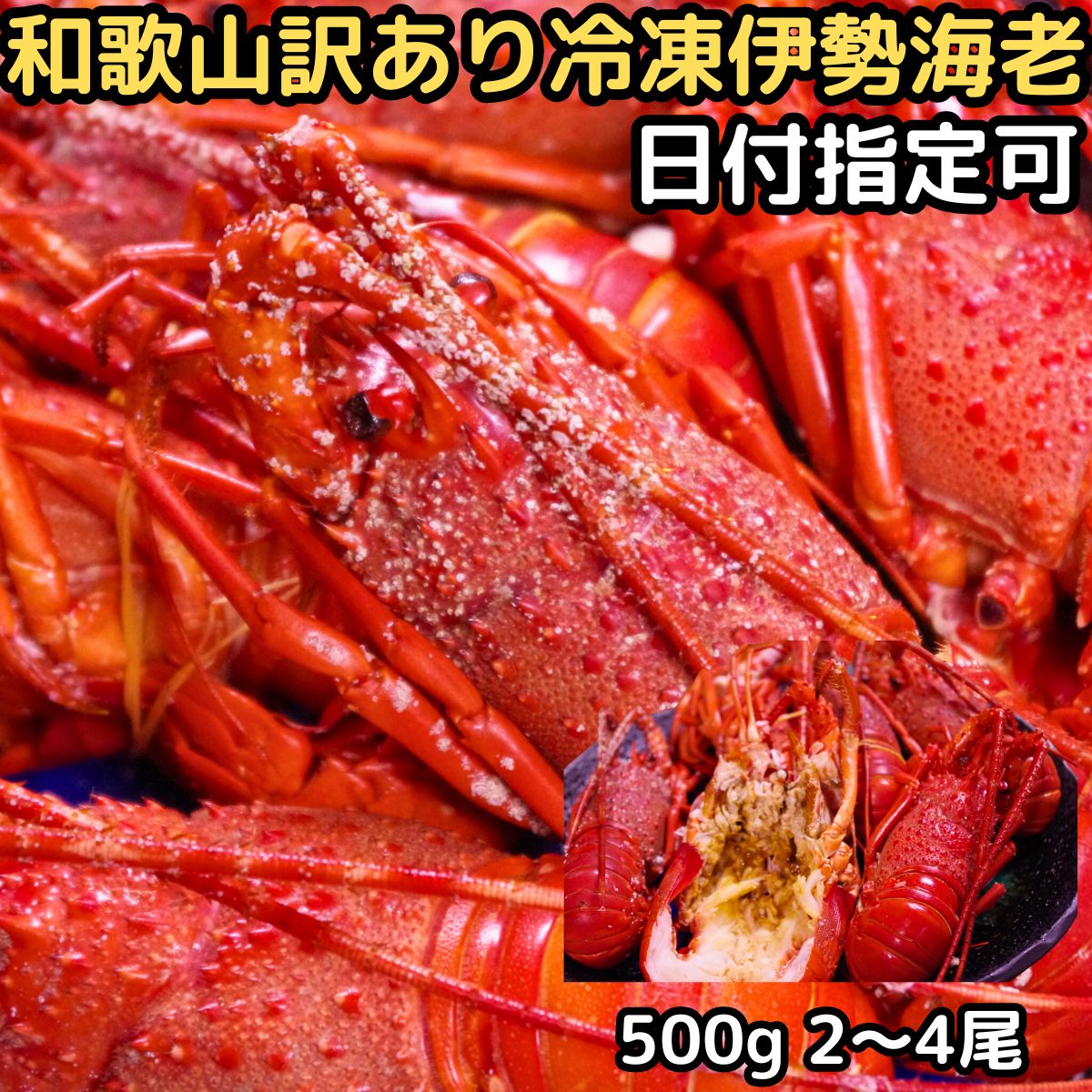 伊勢海老 訳あり 冷凍 年内 発送 おせち 正月 日付指定OK ギフト 和歌山 訳あり 伊勢エビ 足折れ 角折れ 500g 2～4尾入 小サイズ 加熱用 お歳暮 送料無料  伊勢えび イセエビ いせえび