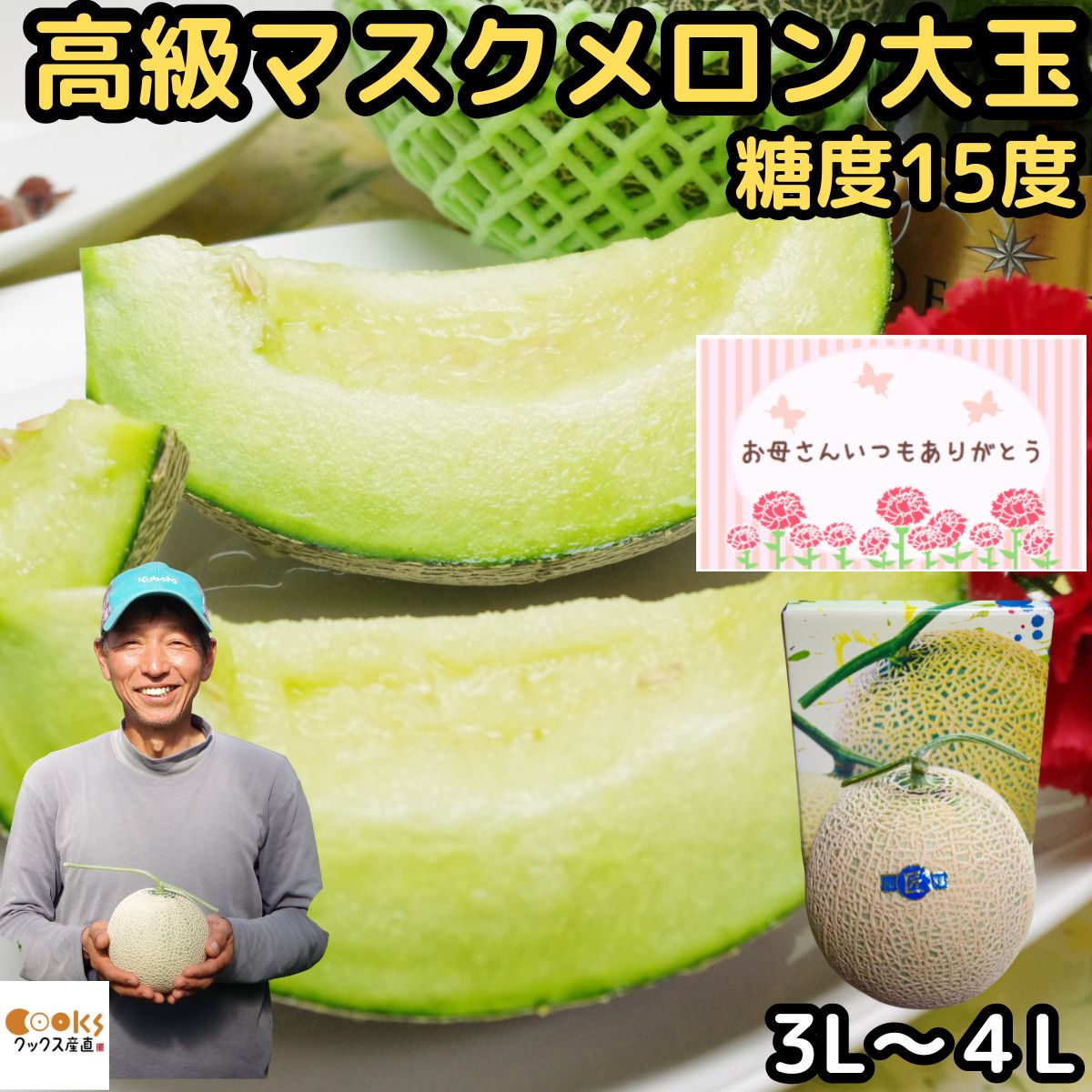 メロン 母の日 早割 ギフト プレゼント 塩 アールスメロン 匠 大玉 1玉 3L～4L 約1.8～2kg 糖度15度 芳醇な香りと甘みが美味しい 熊本 産地直送ニシムラ厳選 母 の日 2026 予約 食品 食べ物 フルーツ 果物