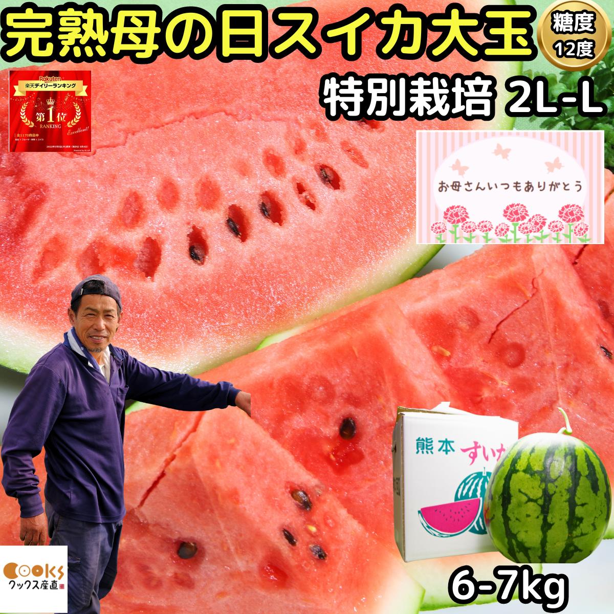 スイカ 熊本 母の日 ギフト 大玉 甘い 糖度11度 2L～L 1玉 6～7kg 約5～6人前 安心の特別栽培認定 産地直送ニシムラ 母 の日スイカ すいか 西瓜 送料無料 プレゼント 2025 予約 食品 食べ物 フルーツ 果物 出産祝い 内祝い 植木