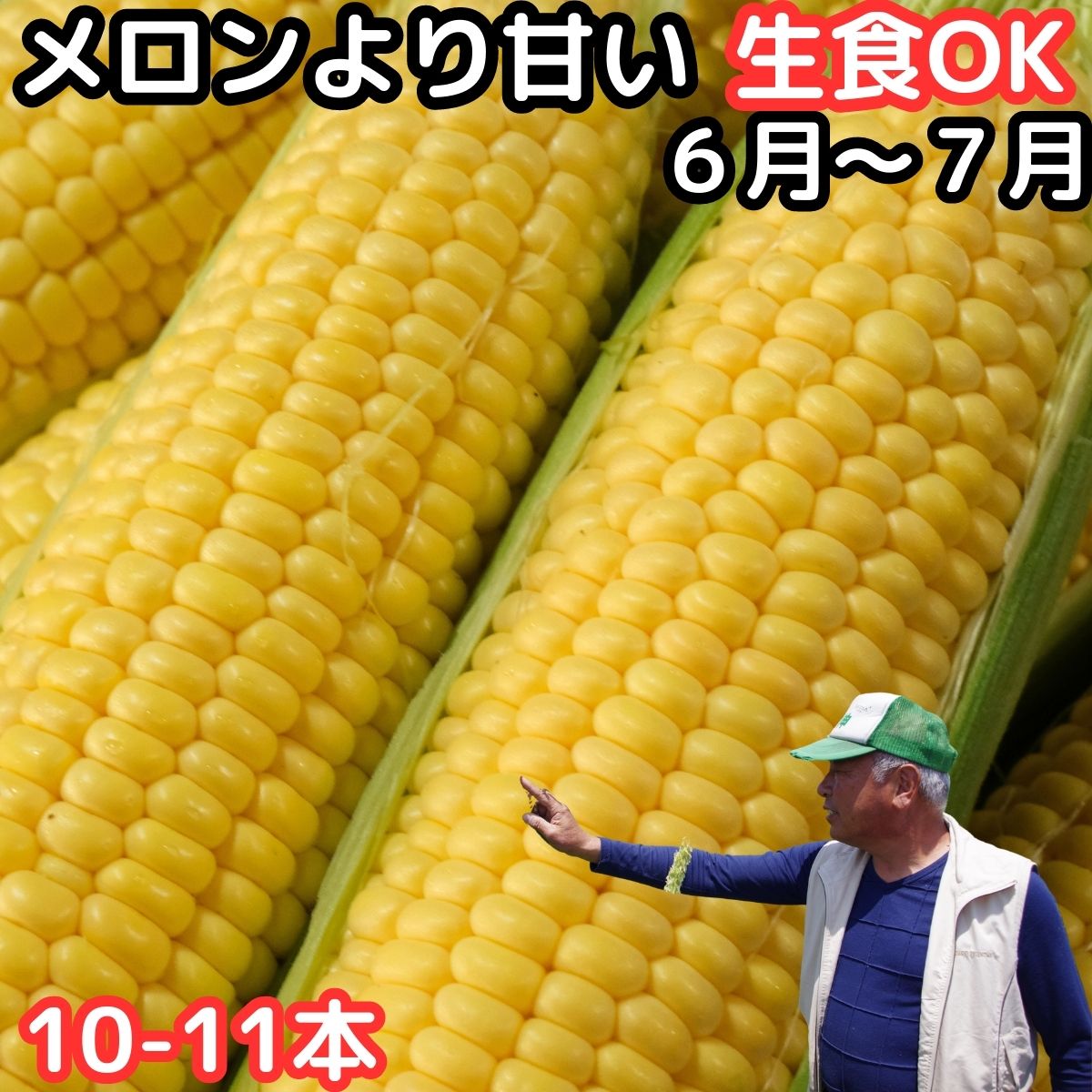 最大68％オフ！ ポイント5倍 お買い物マラソン 生で食べれる 白い 高原とうもろこし 10本入り 約3kg 雪の妖精 朝採 産地直送 産直 新鮮  野菜 甘い フルーツコーン スイートコーン ホワイトコーン とうもろこし ホワイト 珍しい 長野県 南信州産 お取り寄せ
