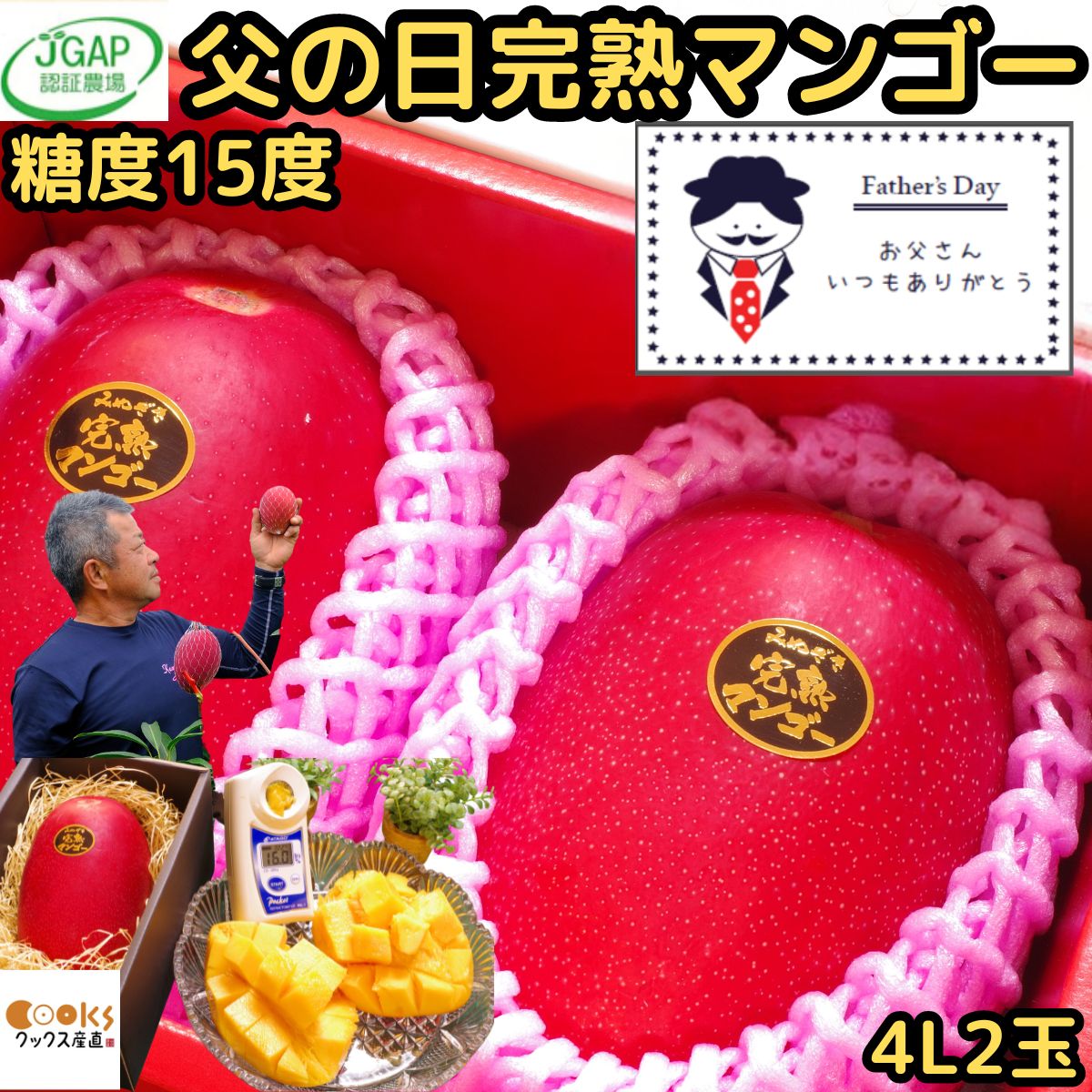 マンゴー 父の日 2玉 ギフト プレゼント 宮崎 完熟マンゴー 赤秀 糖度15度以上 4l サイズ 2玉 化粧箱入 宮崎 JGAP認定農家 川崎農園 父の日プレゼント 父の日ギフト 予約 食品 食べ物 フルーツ 果物 出産祝い 内祝い 2025 くだもの