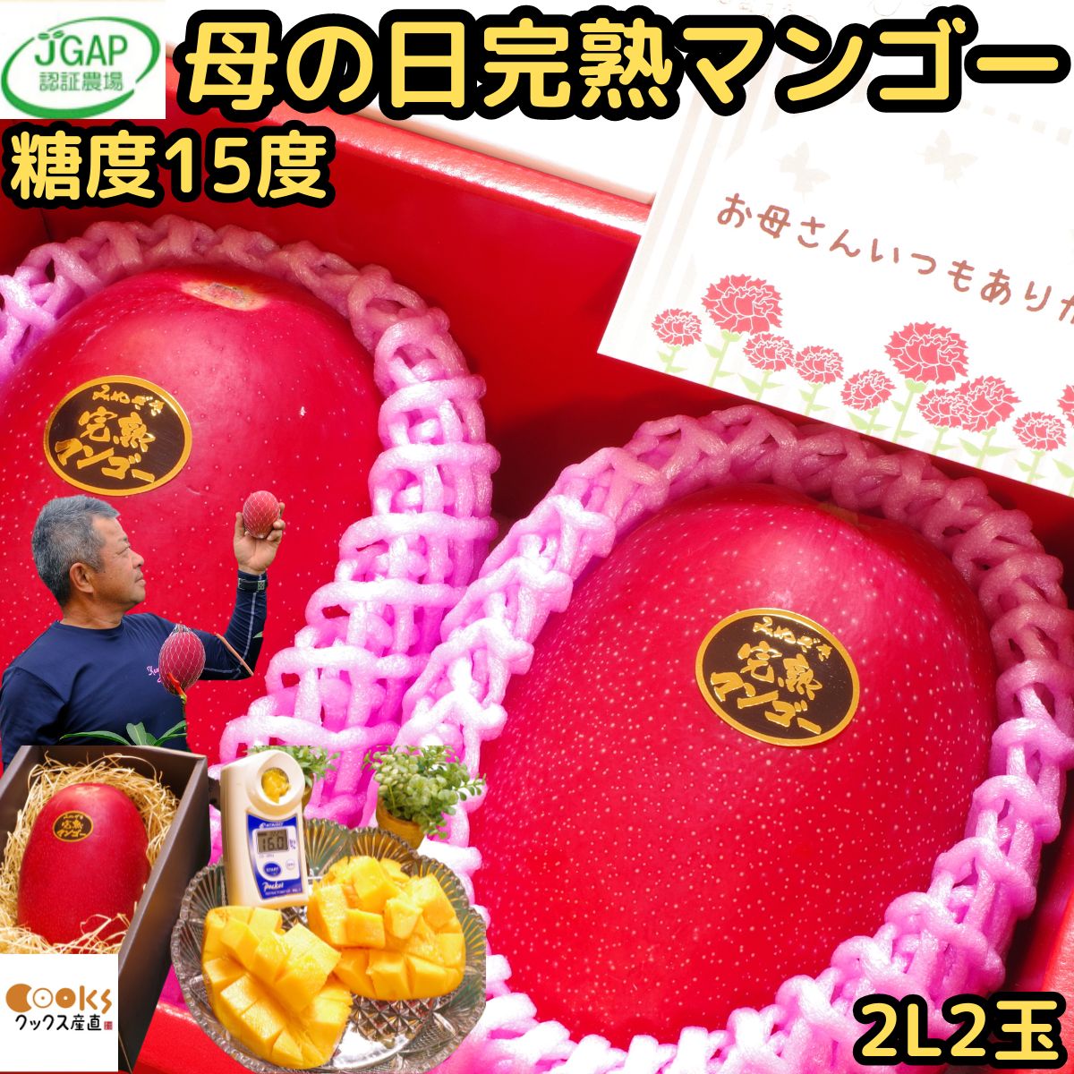 マンゴー 母の日  2玉 ギフト プレゼント 宮崎 完熟マンゴー 赤秀 糖度15度以上 2l サイズ 2玉 小 化粧箱入 宮崎 JGAP認定農家 川崎農園 厳選 予約 食品 食べ物 フルーツ 果物 出産祝い 内祝い 2025 くだもの