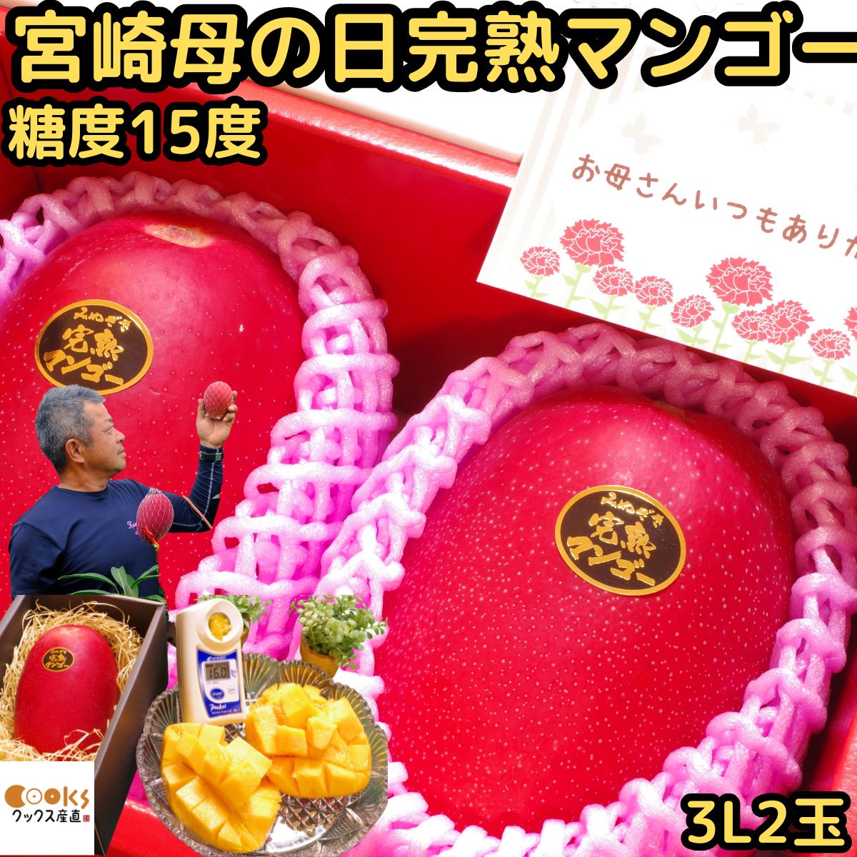 マンゴー 母の日 2玉 早割 ギフト プレゼント 宮崎 完熟マンゴー 赤秀 糖度15度以上 3l サイズ 2玉 化粧箱入 宮崎 川崎農園 母の日プレゼント 母の日ギフト 予約 食品 食べ物 フルーツ 果物 出産祝い 内祝い 2026 くだもの