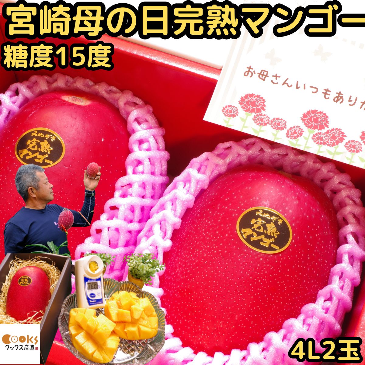 マンゴー 母の日 2玉 早割 ギフト プレゼント 宮崎 完熟マンゴー 赤秀 糖度15度以上 4l サイズ 2玉 化粧箱入 宮崎 川崎農園 母の日プレゼント 母の日ギフト 予約 食品 食べ物 フルーツ 果物 出産祝い 内祝い 2026 くだもの 7,028円