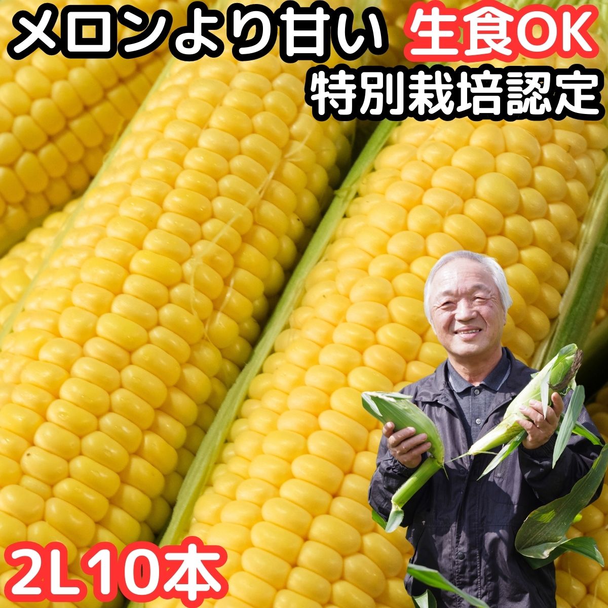 楽天市場】【出荷中】 とうもろこし 御中元 6〜7月出荷 生で食べれる