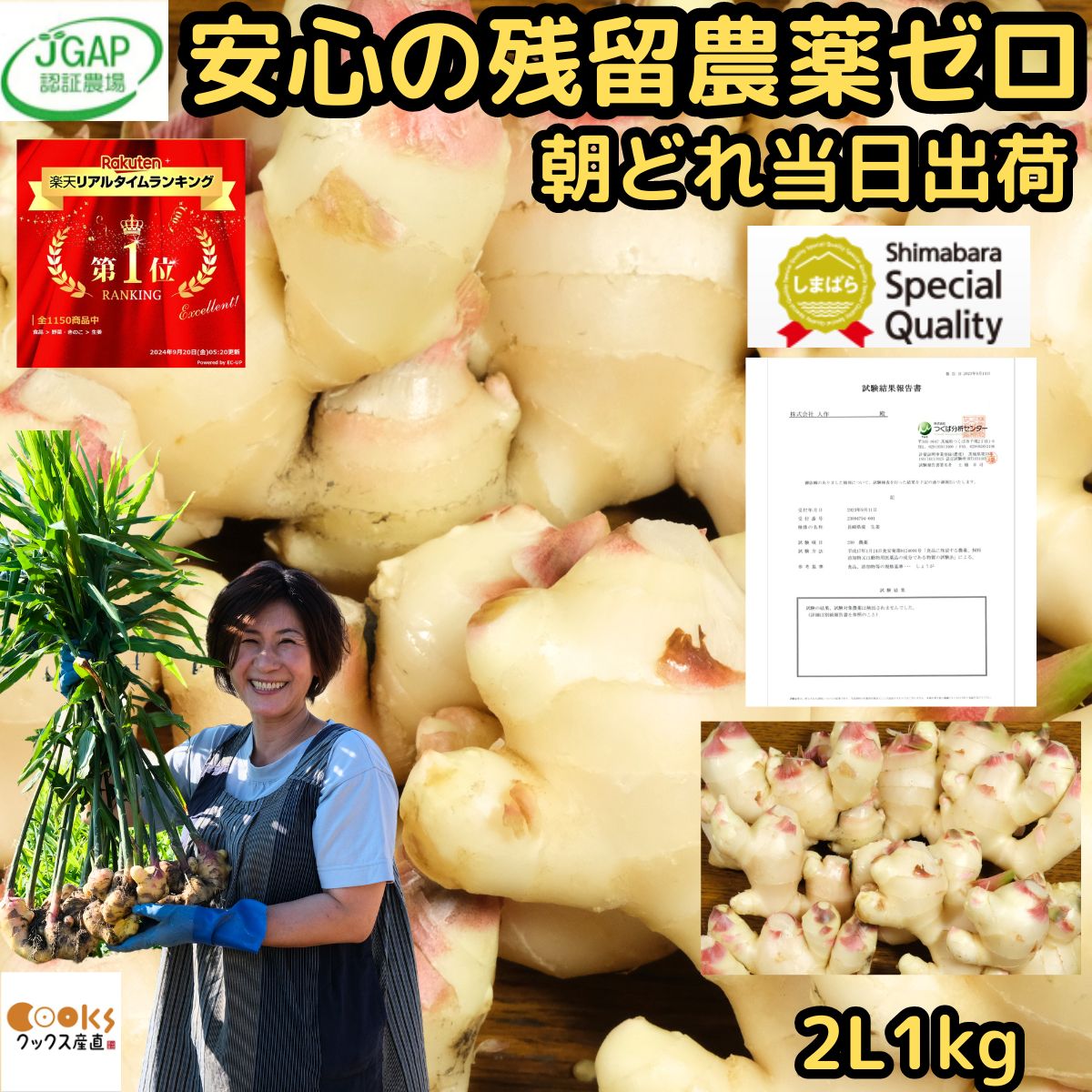 47e409638787fe315dd44912340860