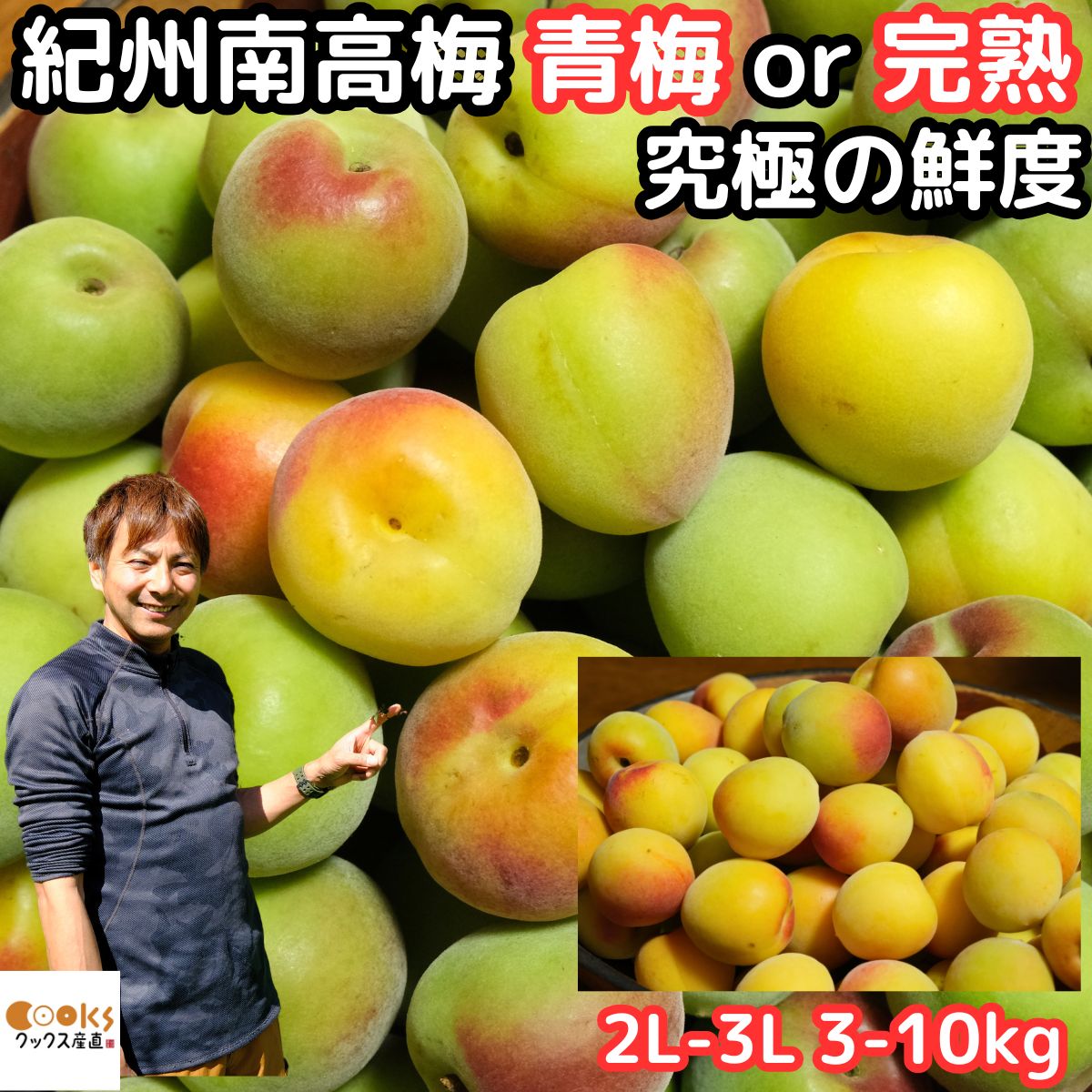 梅 南高梅 梅干し用 3kg 5kg 10kg 2L 3L 青梅 or 完熟 手摘み品質 生梅 うめ 予約 直売 梅酒用 和歌山 紀州産 田辺 岡本農園 なんこうばい ナンコウバイ 完熟 熟も対応