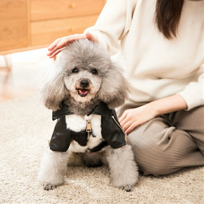 楽天市場 犬服 ドッグウェア 犬の服 ペット服 送料無料 犬 服 可愛い かわいい セール ブランド 星 ライダース 猫お出かけ 散歩 おしゃれ 新作 秋 冬 ファー 前開き カッコいい カッコイイ オス 男の子 白 黒 Xs S M L 防寒