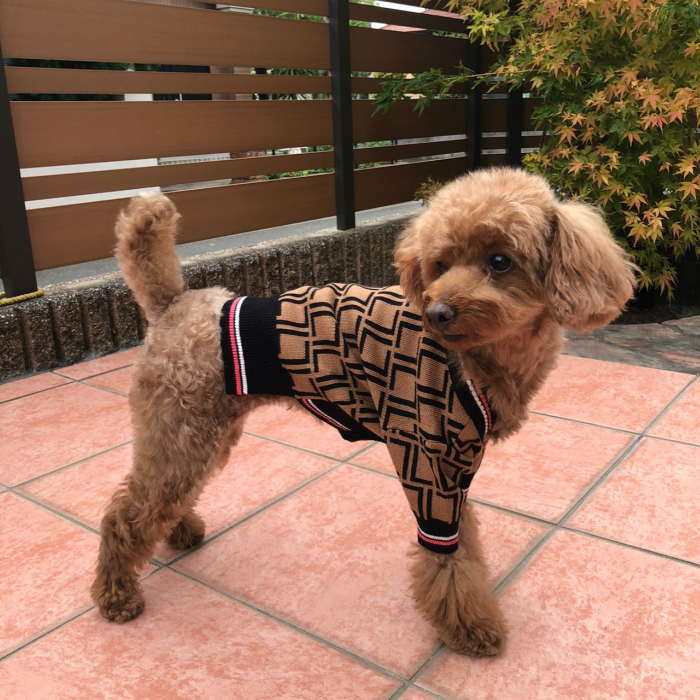 楽天市場 犬服 ドッグウェア 犬の服 ペット服 送料無料 犬 服 可愛い かわいい セール ブランド ブラウン カーディガン 猫お出かけ 散歩 おしゃれ 新作 オス 男の子 カーディガン 春 秋 冬 防寒 チワワ トイプードル マルチーズ 犬服 ペット用品 Cool Rich