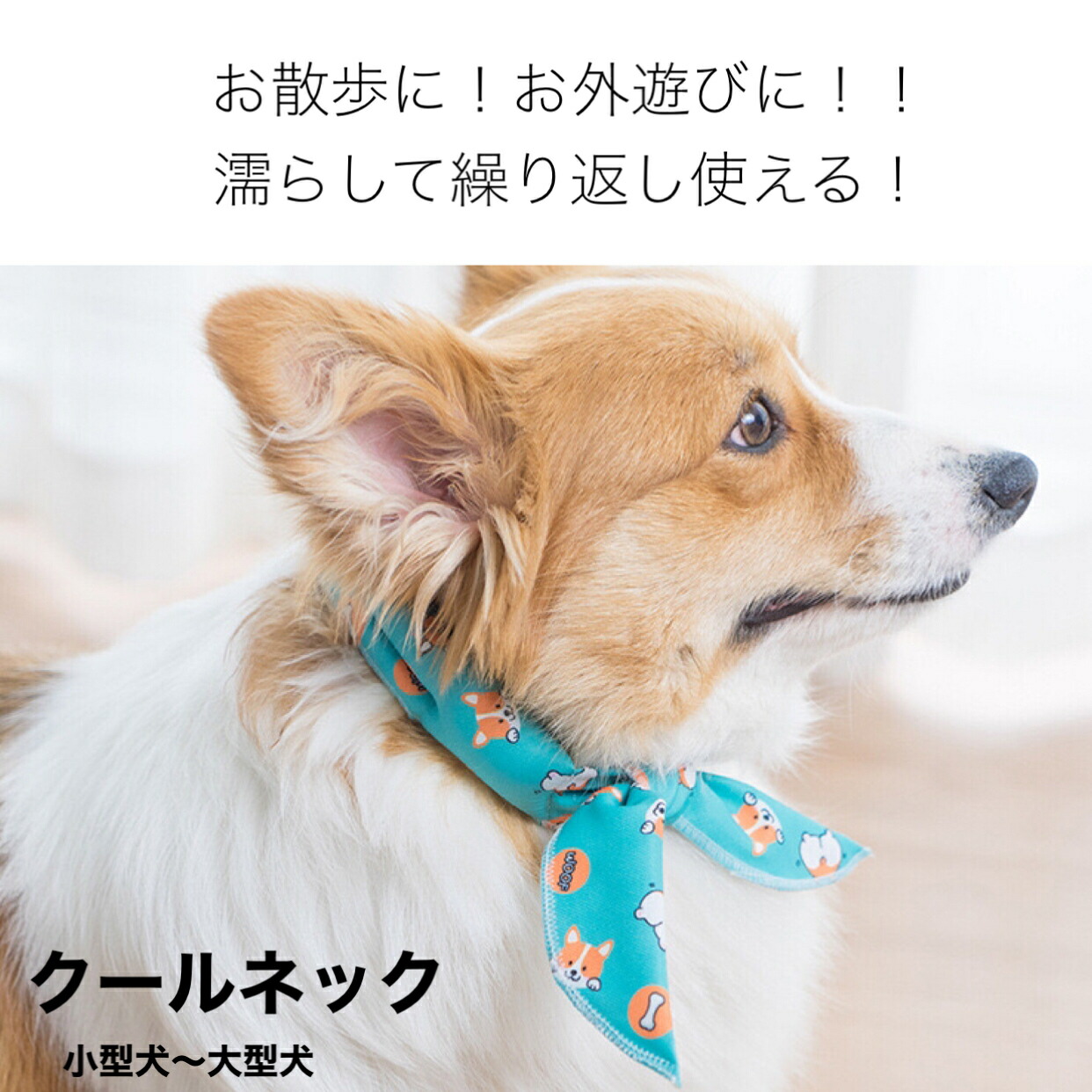 楽天市場 犬 クール クールネック クールバンド クールバンダナ ネッククーラー 暑さ対策 お散歩 冷却 犬 首輪 猫 首輪 チョーカー 選べる おしゃれ かわいい 可愛い プチプラ 激安 送料無料 犬服 ペット用品 Cool Rich