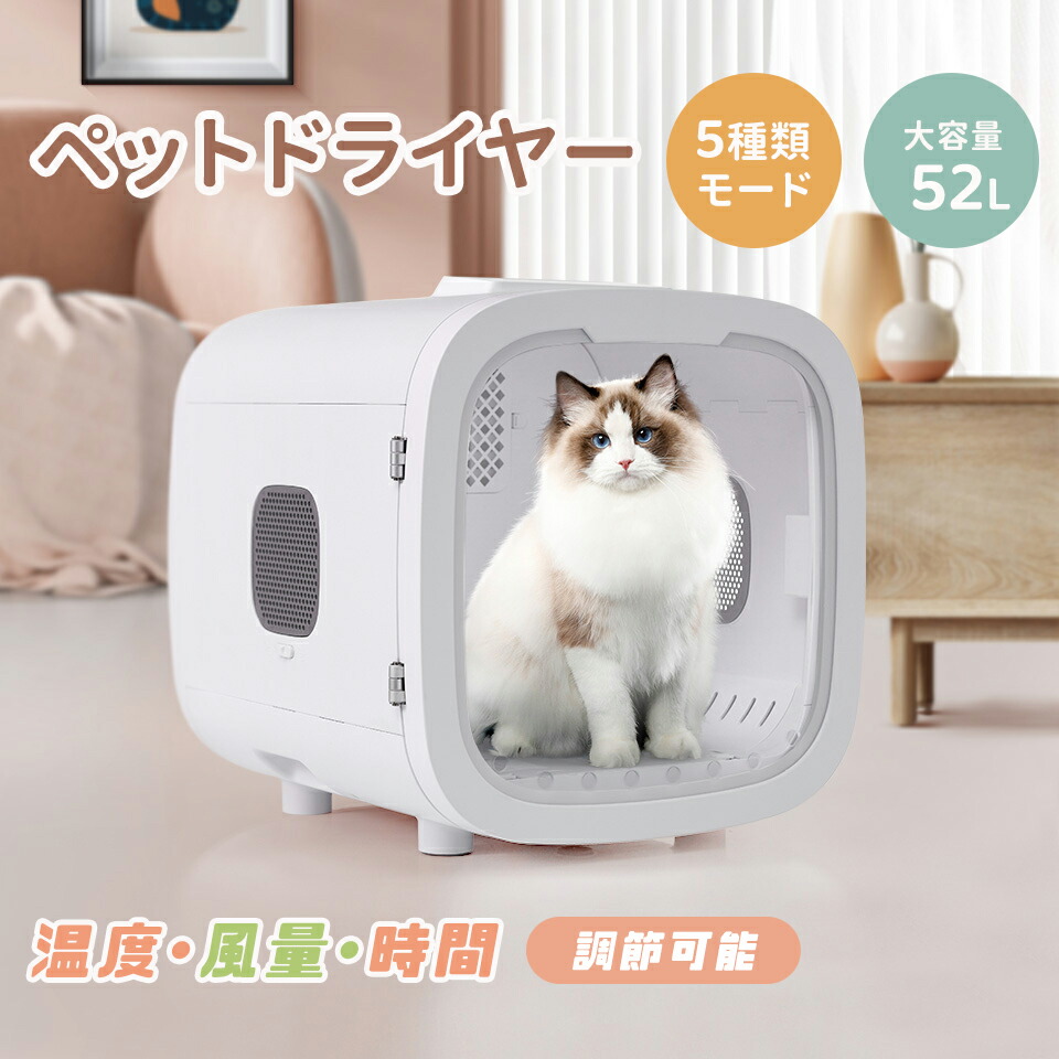今すぐゲット！押さえる引き換え証
