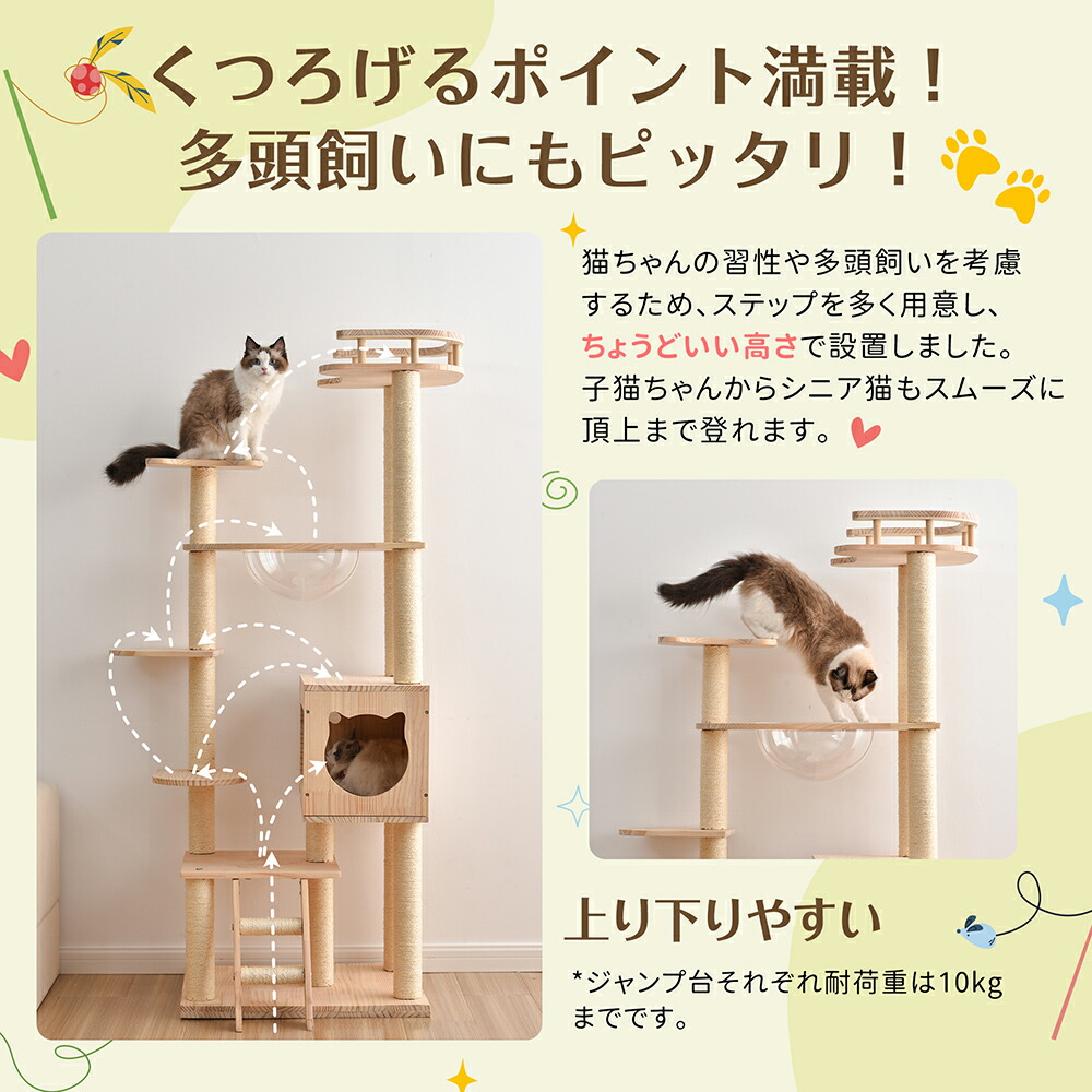 キャットタワー 透明宇宙船 頑丈 据え置き おしゃれ キャットタワー 木製 可愛い麻紐 爪とぎボール 猫ベッド 安全安心 ペット用品 猫用品 |  digitaldentistryschoology.com