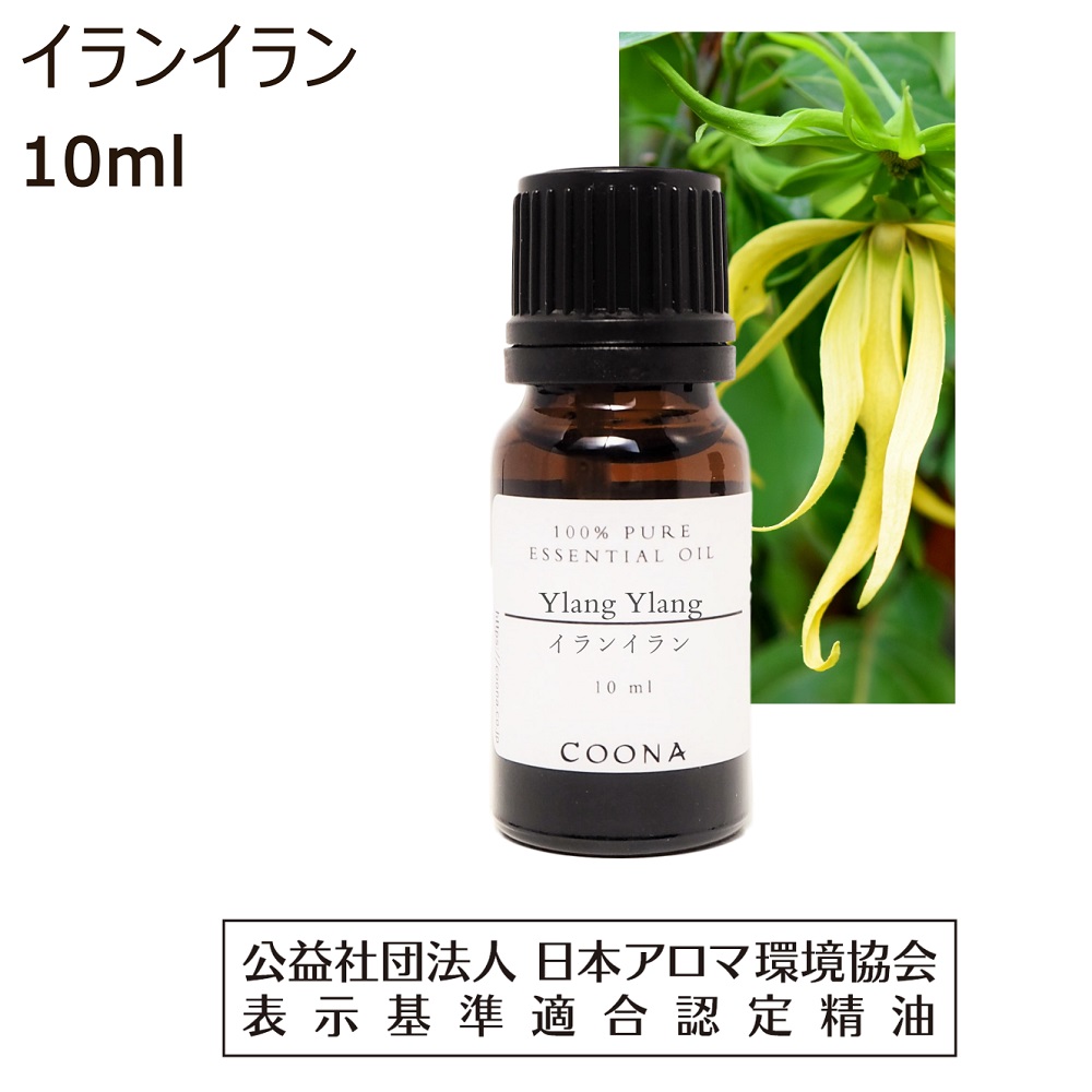 NOW ローズマリー精油30ml3本+ローズアブソルート30ml1本 おまけ2本