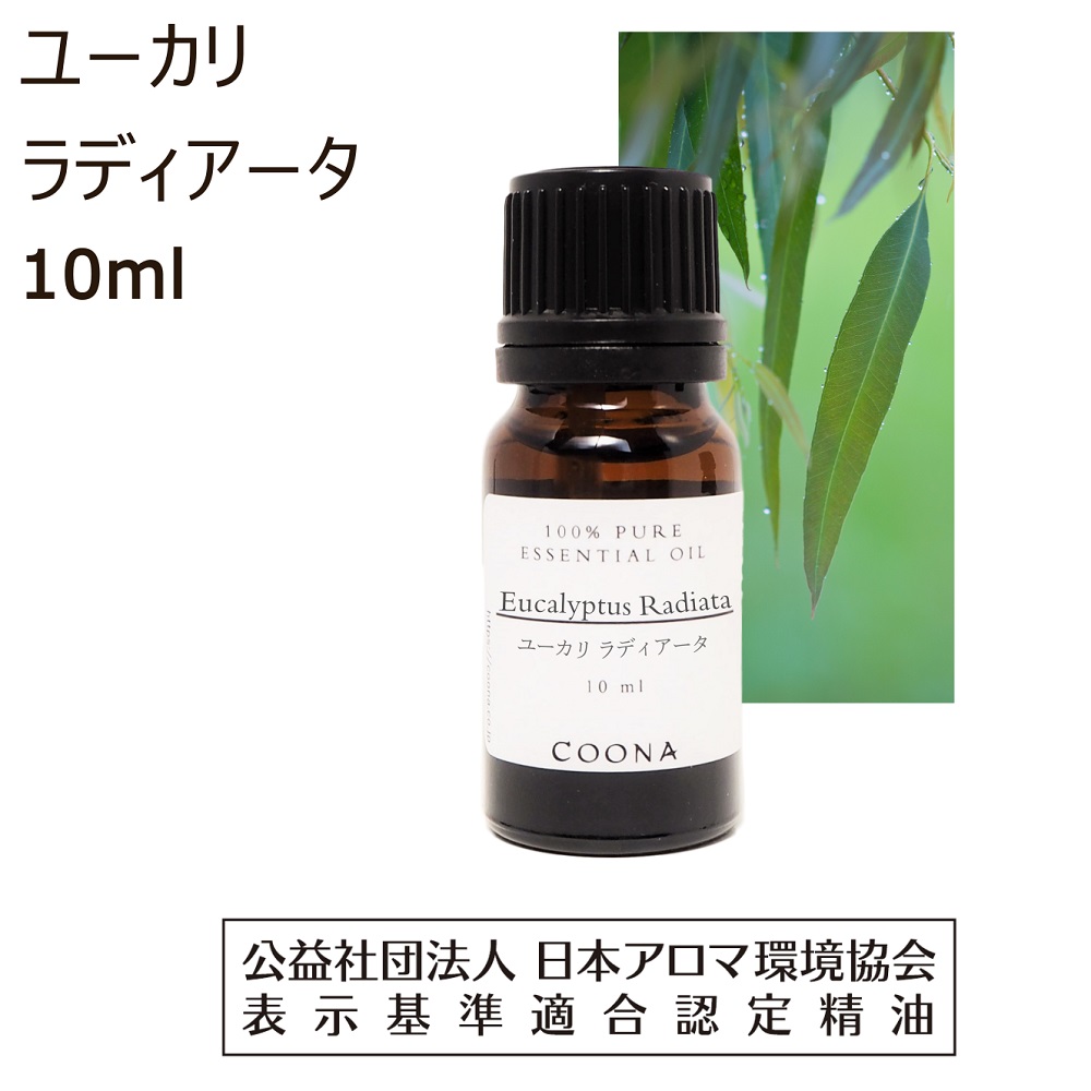てん★てん様 PRANAROM ラヴィンツァラ他　合計6点　精油 楽天市場】プラナロム ラヴィンサラ 10ml プラナロム アロマ