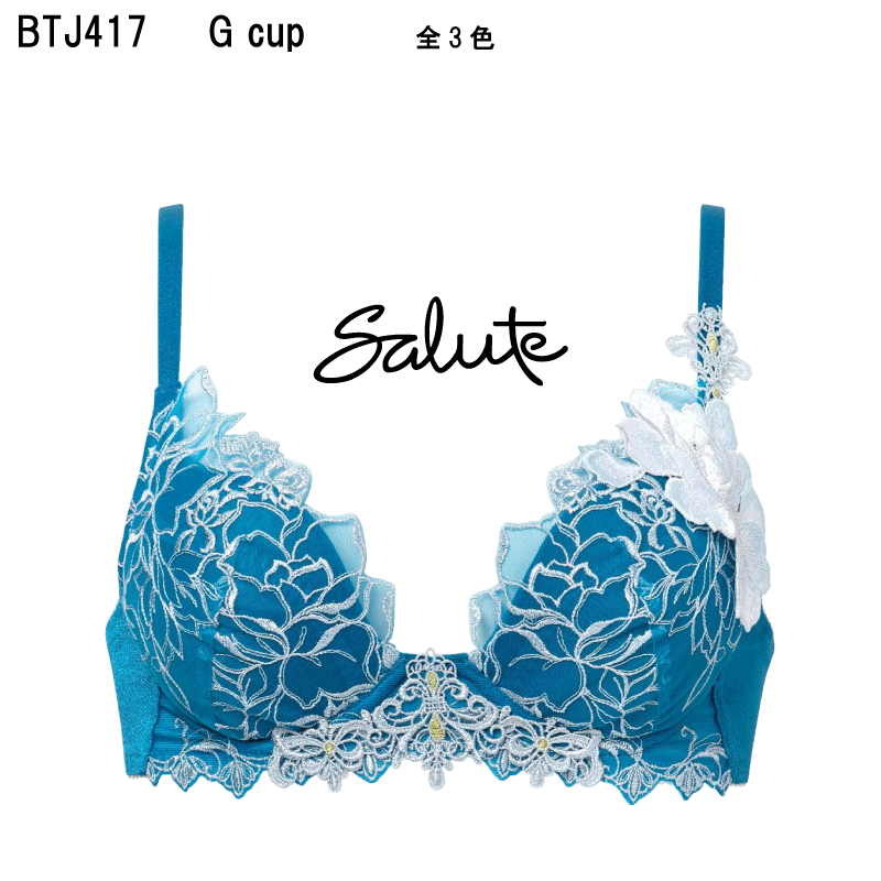 22％OFF【貨物輸送無料】ワコール サルート＜17烏合の衆＞3/4優勝杯 ブラ（Viva Lineブラジャー）G優勝杯 Wacoal Salute BTJ417
