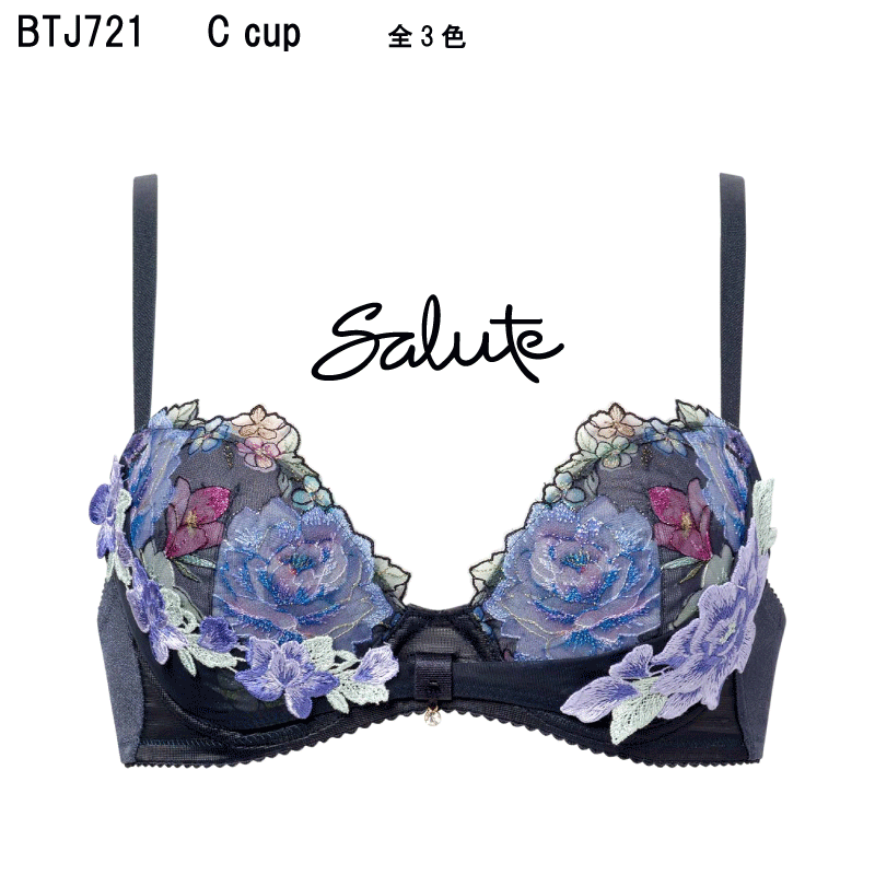 サルート　09group C65M 楽天市場】22％OFF【送料無料】ワコール サルート＜21グループ