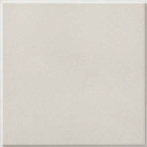 LIXIL 【ECP-303/NTC3FN(グレー)22枚入/ケース】 303角平(フラット) ニュートランス エコカラットプラス [♪【追加送料あり】]