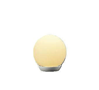 大光電機(DAIKO) DST-42243Y スタンド 非調光 電球色 LED ランプ付 ホワイト