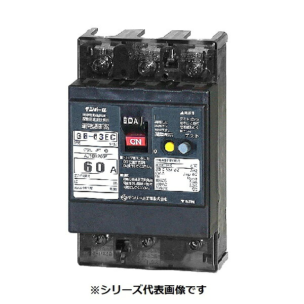 テンパール工業 63EC60154 漏電遮断器 経済タイプ Eシリーズ OC付 表面形 60AF 3P3E 100-200V 60A 15mA|住宅設備機器のcoordiroom