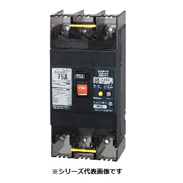 テンパール工業　72EC7515S　漏電遮断器 経済タイプ Eシリーズ OC付 裏面形 75AF 2P2E 100-200V 75A 15mA ※受注品 [§]