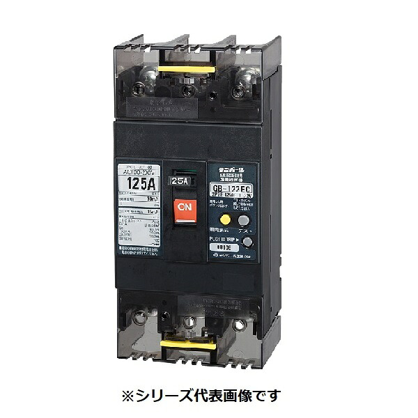 テンパール工業　122EC06W2F　漏電遮断器 経済タイプ Eシリーズ OC付 埋込形 125AF 2P2E 100-200V 60A 100/200/500mA ※受注品 [§]