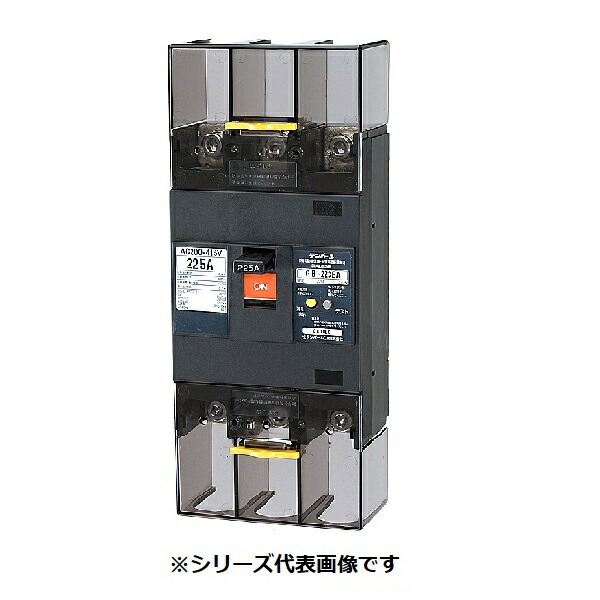 テンパール工業　223EA12W2L　漏電遮断器 経済タイプ Eシリーズ OC付 表面形 225AF 3P3E 200-415V 125A 100/200/500mA ※受注品 [&sect;]｜住宅設備機器のcoordiroom