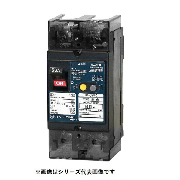 テンパール工業　62KC6030　漏電遮断器 Kシリーズ 分電盤協約形サイズ OC付 表面形 60AF 2P2E 100-200V 60A 30mA