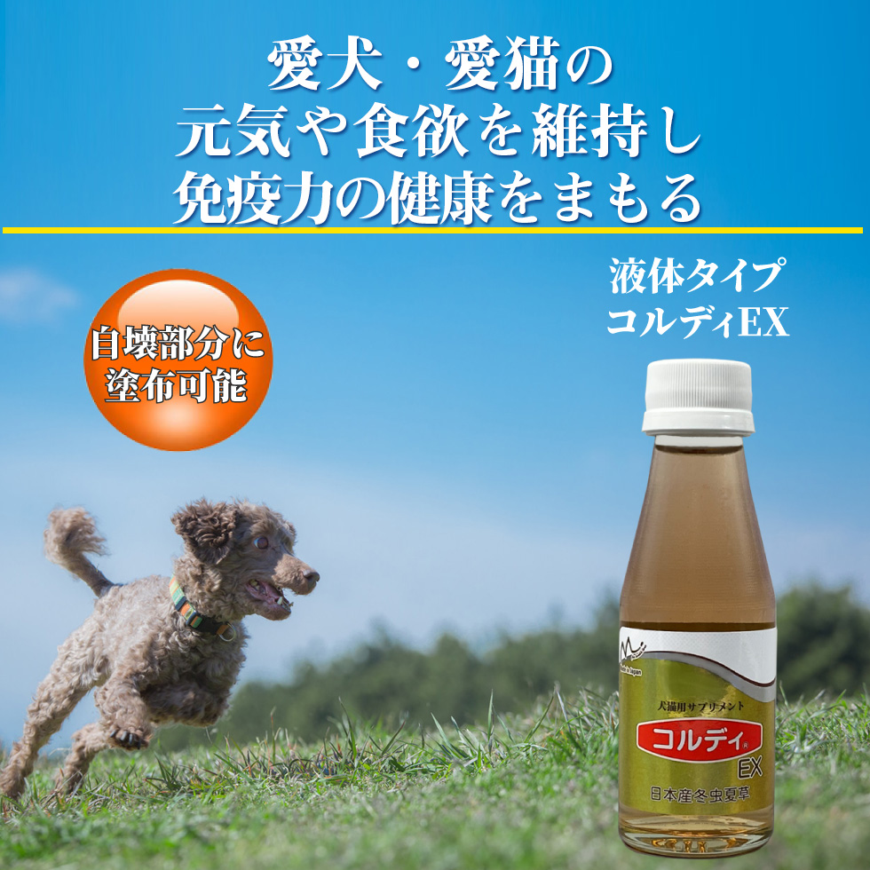 【楽天市場】犬用サプリメント 猫用サプリ ペット 健康 維持 免疫力 免疫 を守る サプリ サプリメント 健康食品