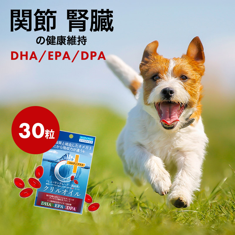 楽天市場 ナチュラルハーベスト クリルオイル 180粒入り 犬と猫のjohn Coco ジョン ココ