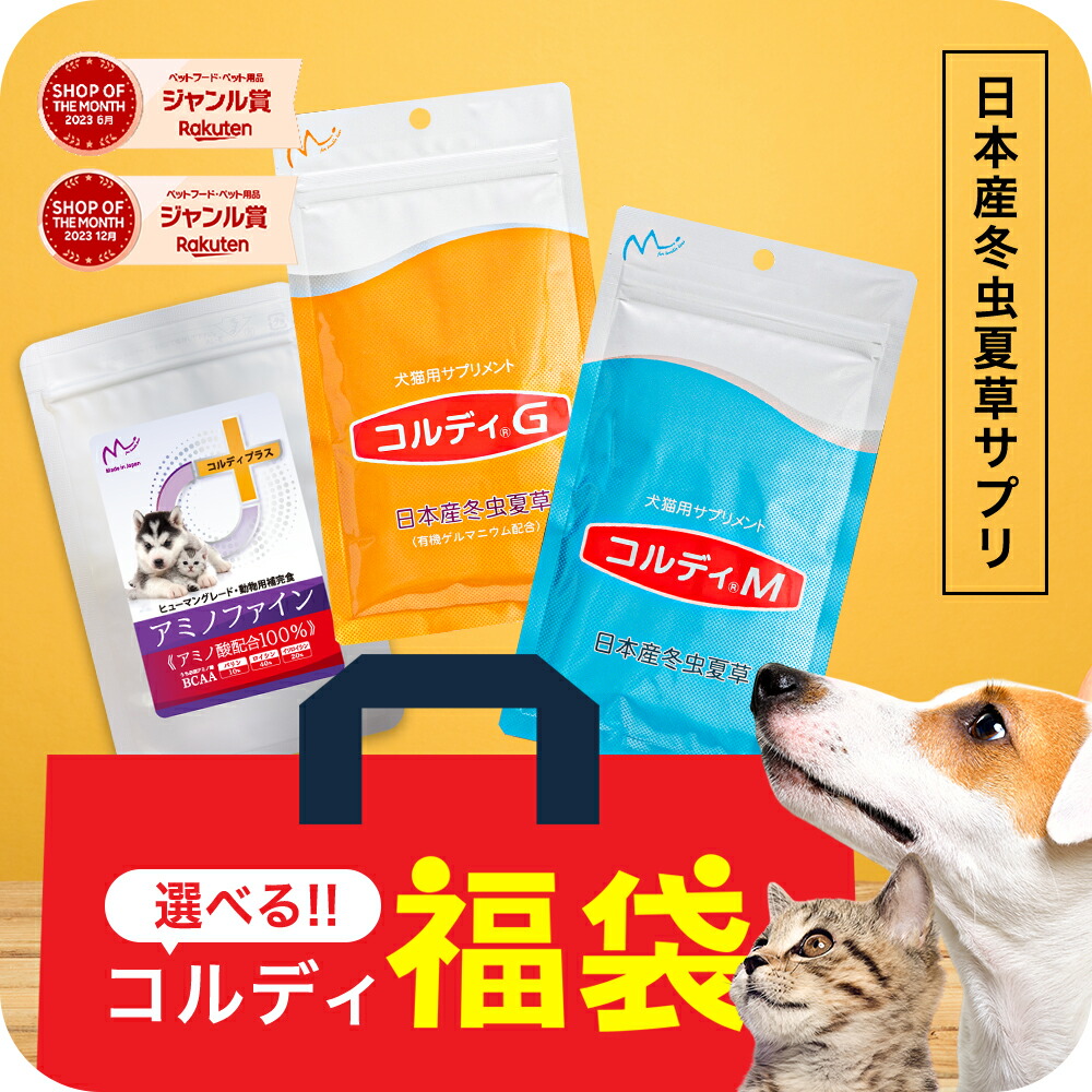 楽天市場】＼＼期間限定特価！福袋／／ペット 犬用 猫用 犬 猫
