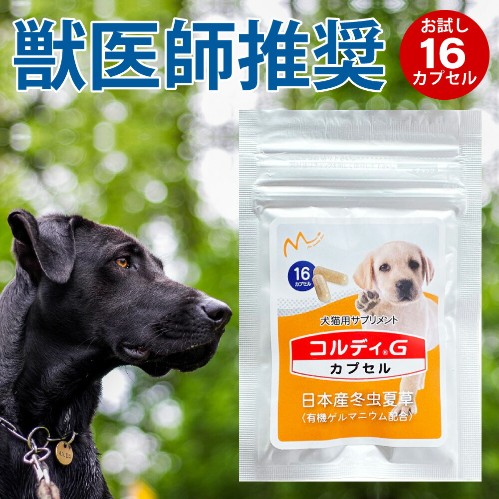 還元祭 コルディ ｍ 犬猫用 サプリメント 冬虫夏草 送料無料