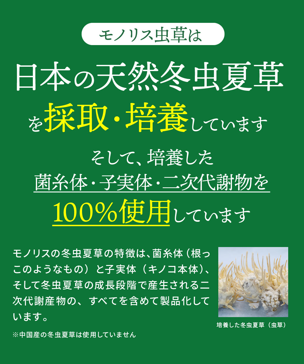 市場 7 妊活 20:00-7 免活サプリ 維持 01:59 冬虫夏草 シニア 男性 国産 女性 ポイント最大42倍 4 サプリ モノリス虫草カプセル 免活  免疫力 11 サプリメント