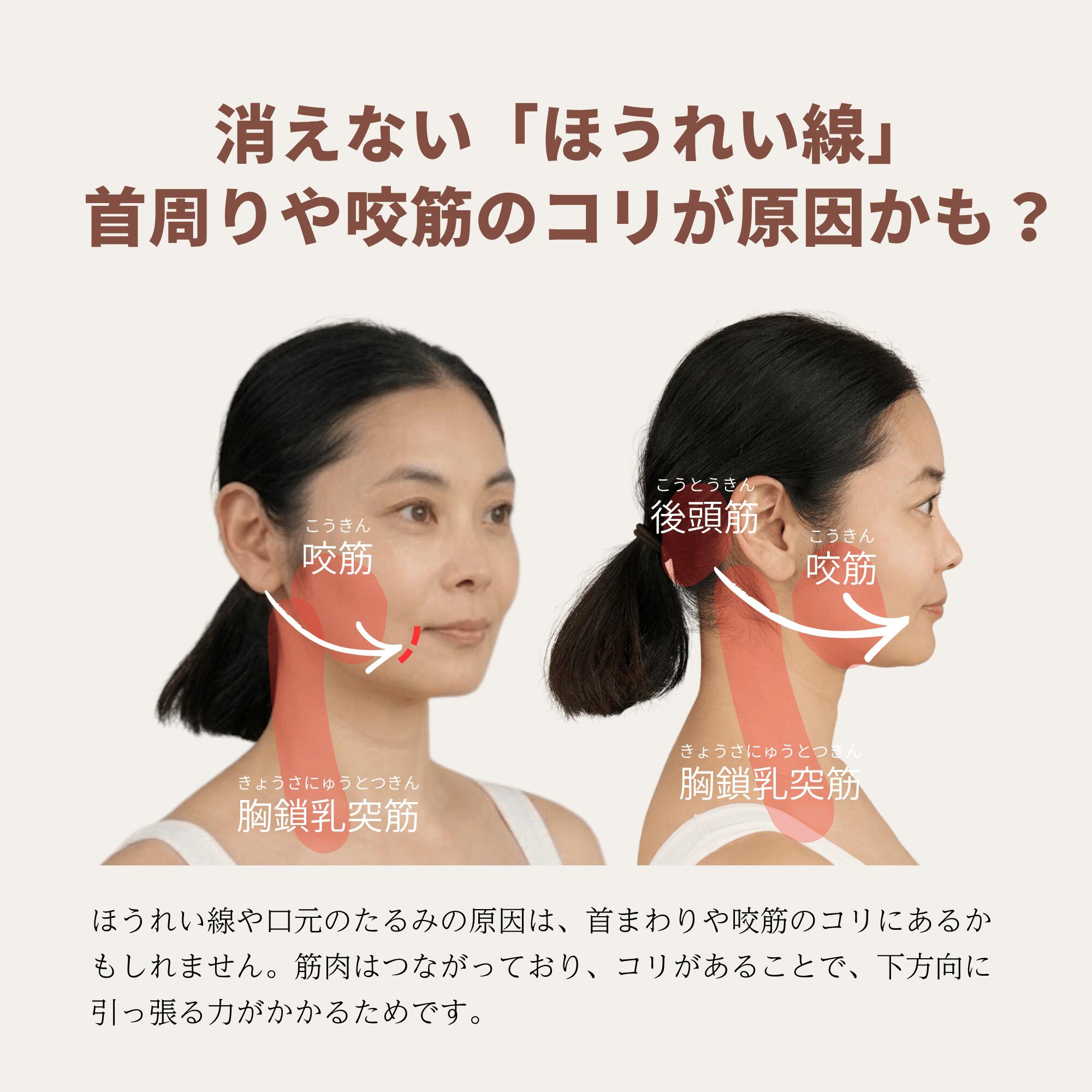 10倍ポイントUP中｜公式】話題の矢田亜希子さん × The FACE POiNTER 