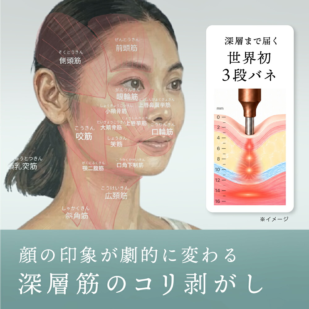 ポイント10倍】正規品 The FACE POiNTER® ｜ポスポス フェイス