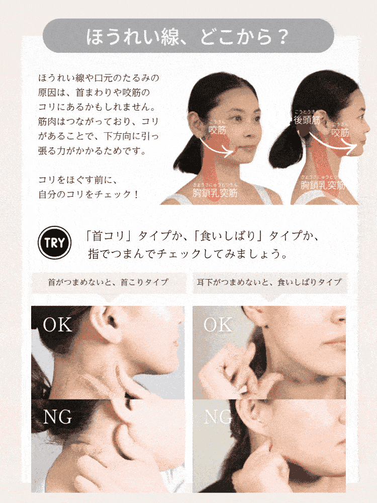 6/11まで現行価格／公式】話題の矢田亜希子さん × The FACE POiNTER