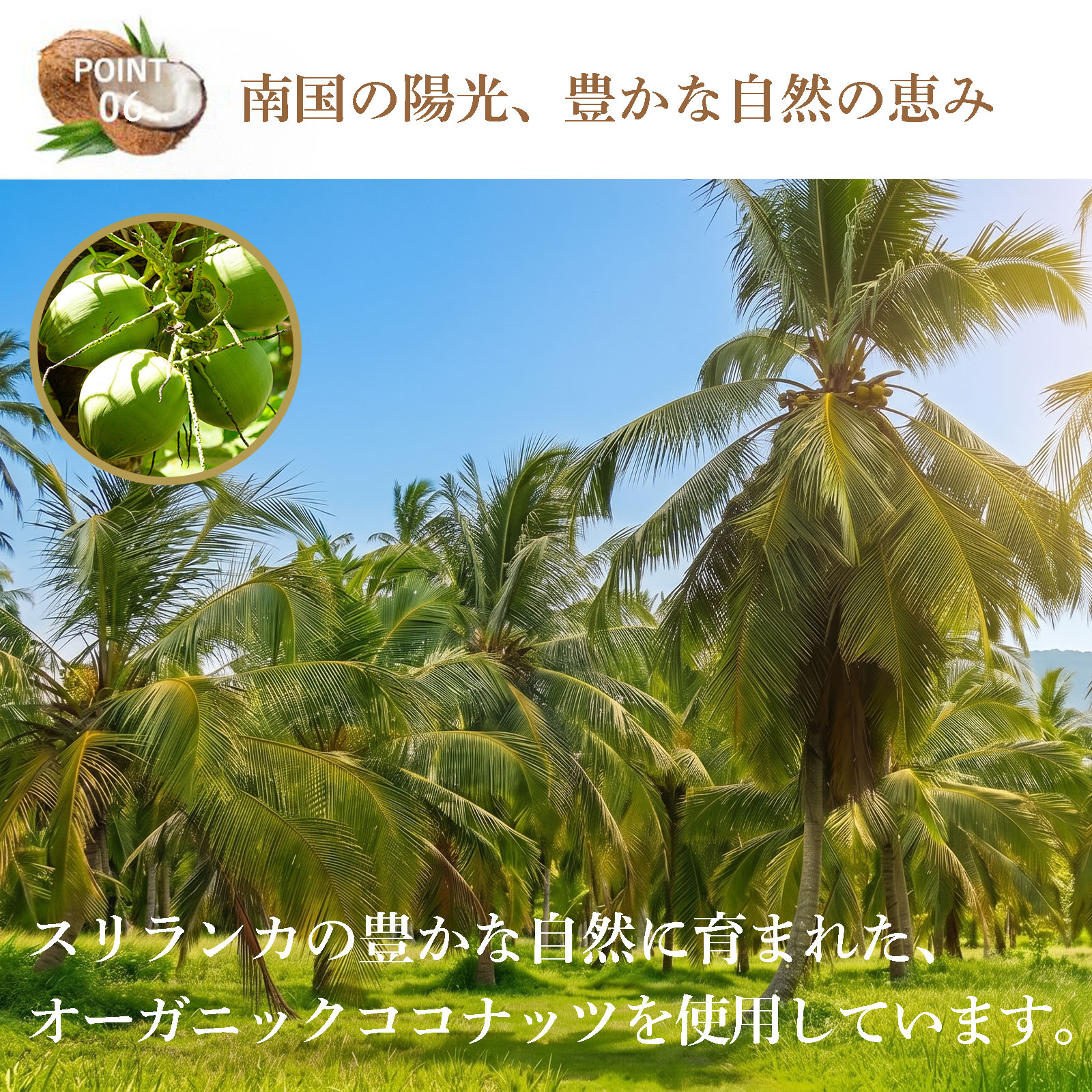 【はじめてのココナッツオイルに】ココナッツオイル 200ml オーガニック セイロン スリランカ産 食用 有機 無添加 無農薬 コールドプレス エキストラバージン 食用 小容量 お試し ダイエット 美容 髪 スキンケア MCT代替 オイルプリング コーヒーにも