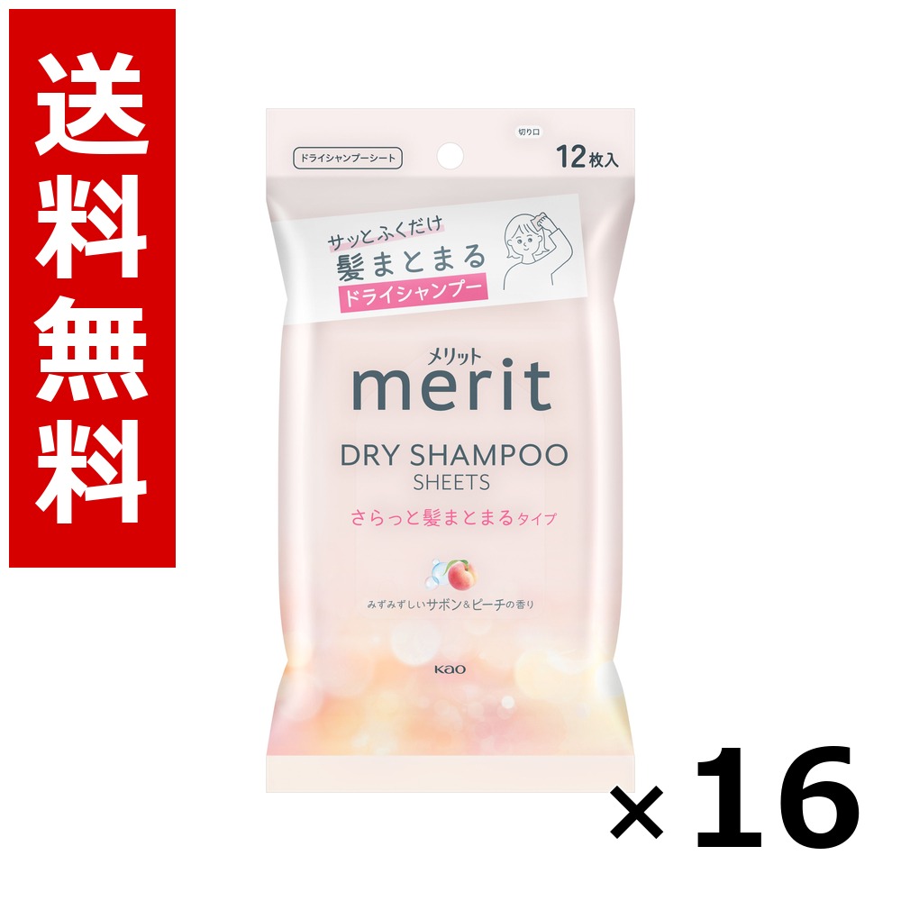 メリット ドライシャンプーシート さらっと髪まとまるタイプ 12枚入 &times; 16個／送料無料 花王 メリット シャンプー コンディショナー ヘアケア 詰め替え まとめ買い 業務用 ケース販売 箱買い ストック 日用品 消耗品 大容量｜北海道小六