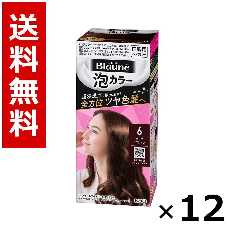 ブローネ 泡カラー 6 ダークブラウン 108ml &times; 12個／送料無料 花王 ブローネ 白髪染め ヘアカラー 部分染め ヘアケア まとめ買い 業務用 ケース販売 箱買い ストック 日用品 消耗品 大容量｜北海道小六
