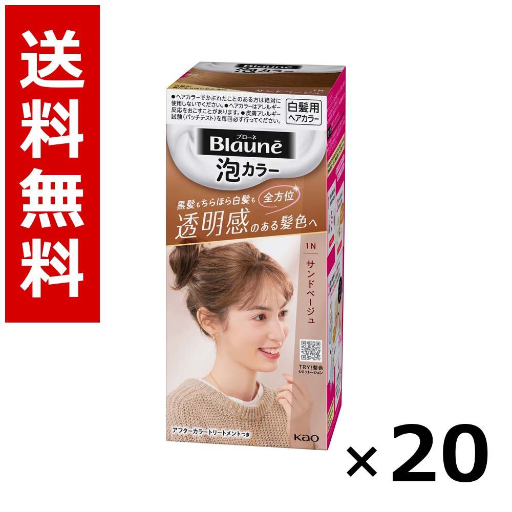 ブローネ 泡色合い 1N 砂子ベージュ 108ml × 20個／貨物輸送無料 名取り草 ブローネ  白髪染め 髪の毛色合い 分け取り染め 髪の毛世話をする まとめ買い お役目用 容れもの売りわたす 箱買いつけ 棚卸し資産 日装置 疲労困憊品 大電気容量