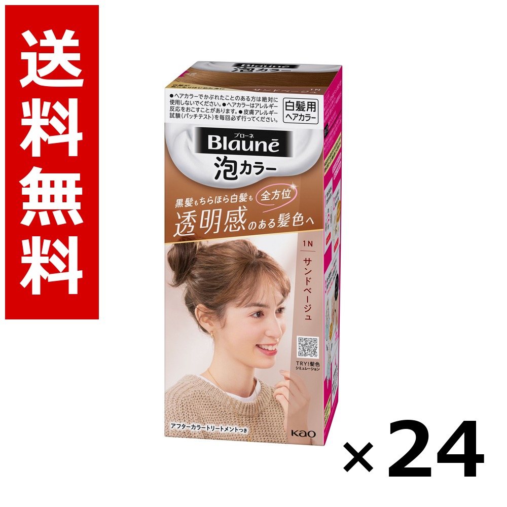 ブローネ 泡色合い 1N 砂子ベージュ 108ml × 24個／1容れもの 貨物輸送無料 名取り草 ブローネ  白髪染め 髪の毛色合い 分け取り染め 髪の毛世話をする まとめ買い お役目用 容れもの売りわたす 箱買いつけ 棚卸し資産 日装置 疲労困憊品 大電気容量