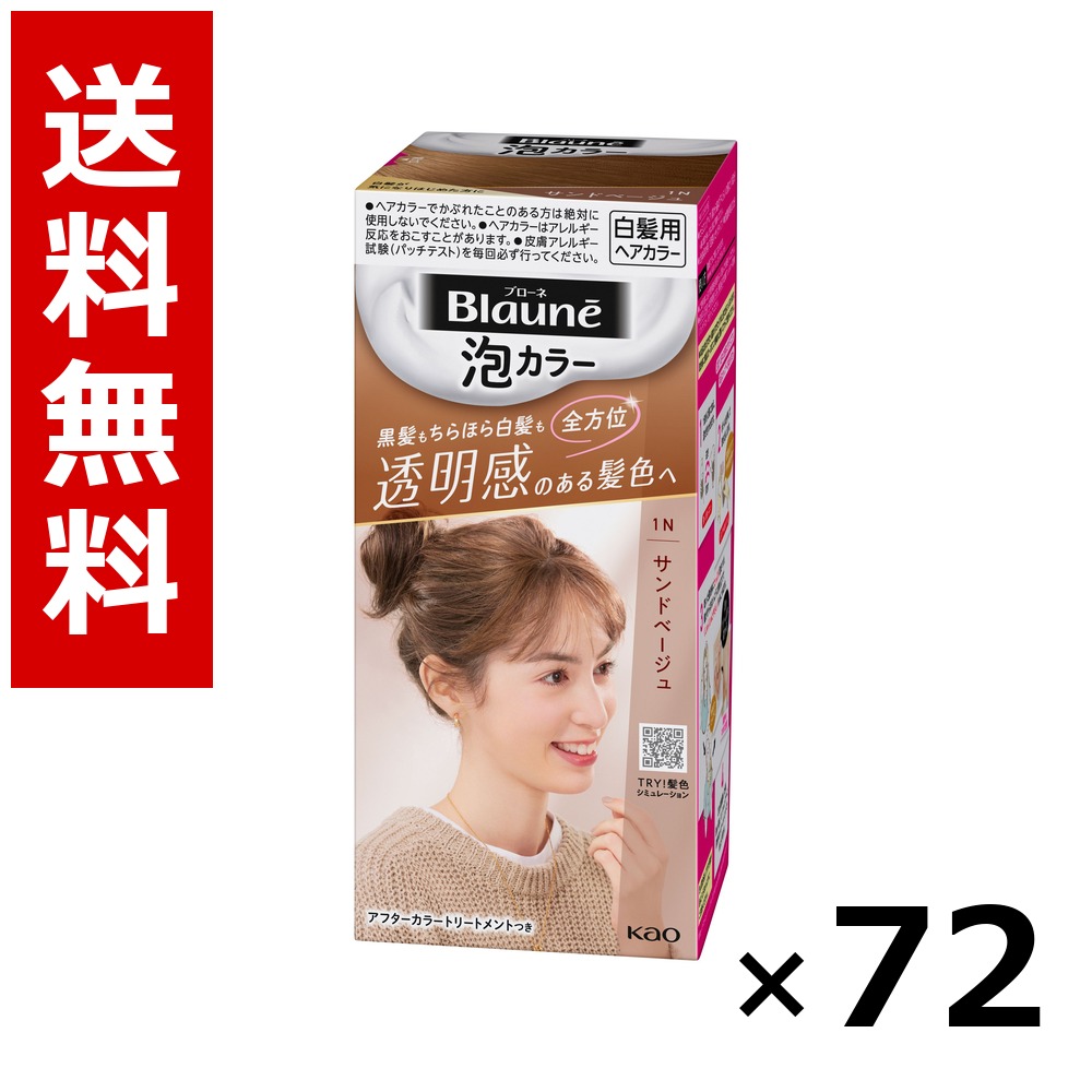 ブローネ 泡カラー 1N サンドベージュ 108ml &times; 72個／3ケース 送料無料 花王 ブローネ 白髪染め ヘアカラー 部分染め ヘアケア まとめ買い 業務用 ケース販売 箱買い ストック 日用品 消耗品 大容量｜北海道小六 49,310円