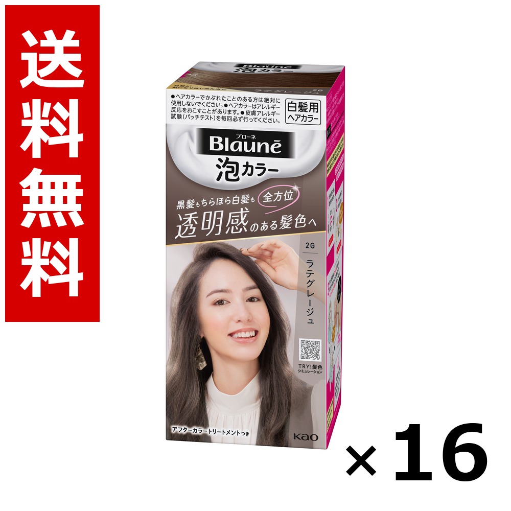 ブローネ 泡カラー 2G ラテグレージュ 108ml &times; 16個／送料無料 花王 ブローネ 白髪染め ヘアカラー 部分染め ヘアケア まとめ買い 業務用 ケース販売 箱買い ストック 日用品 消耗品 大容量｜北海道小六