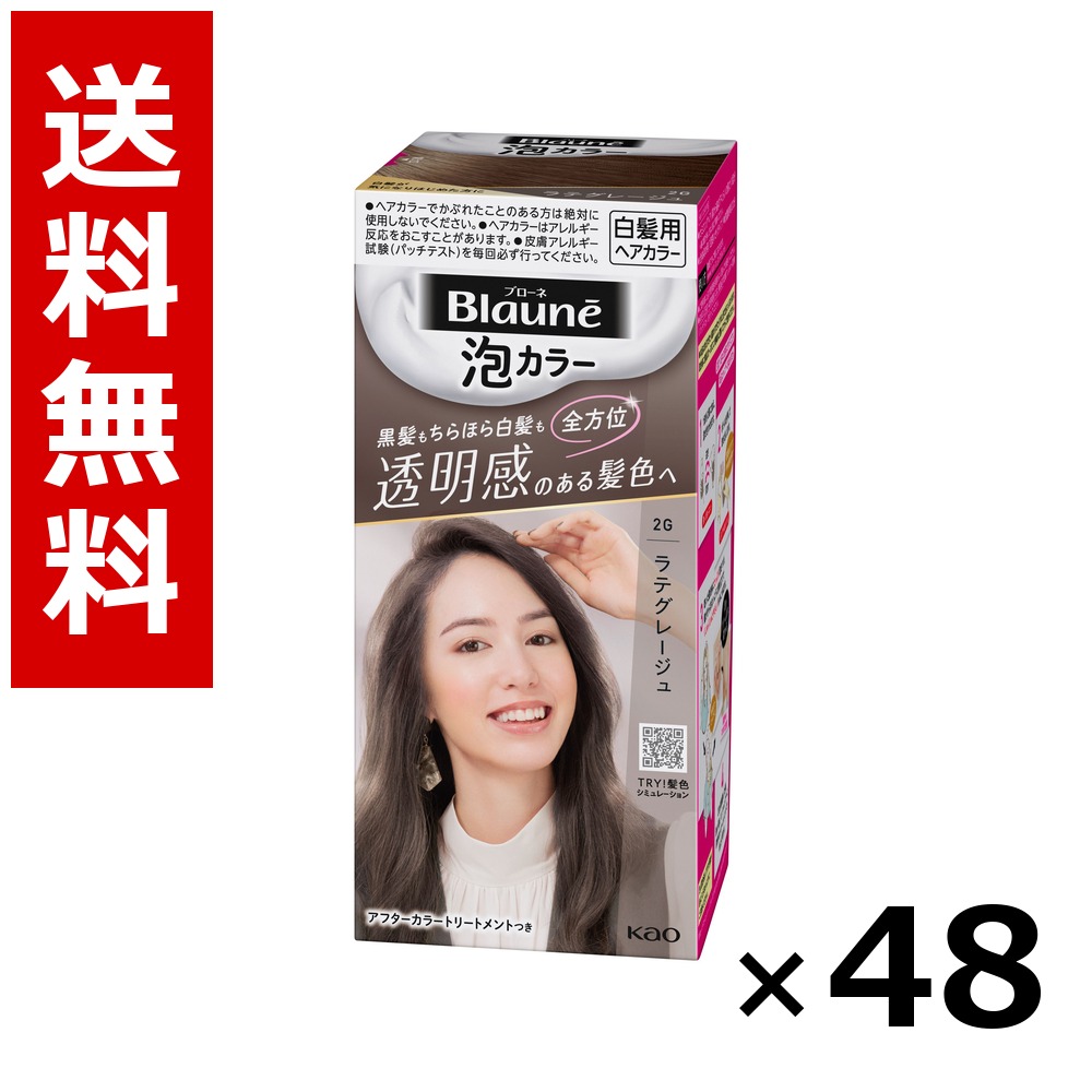 ブローネ 泡色合い 2G ラテグレージュ 108ml × 48個／2容れもの 貨物輸送無料 名取り草 ブローネ  白髪染め 髪の毛色合い 分け取り染め 髪の毛世話をする まとめ買い お役目用 容れもの売りわたす 箱買いつけ 棚卸し資産 日装置 疲労困憊品 大電気容量
