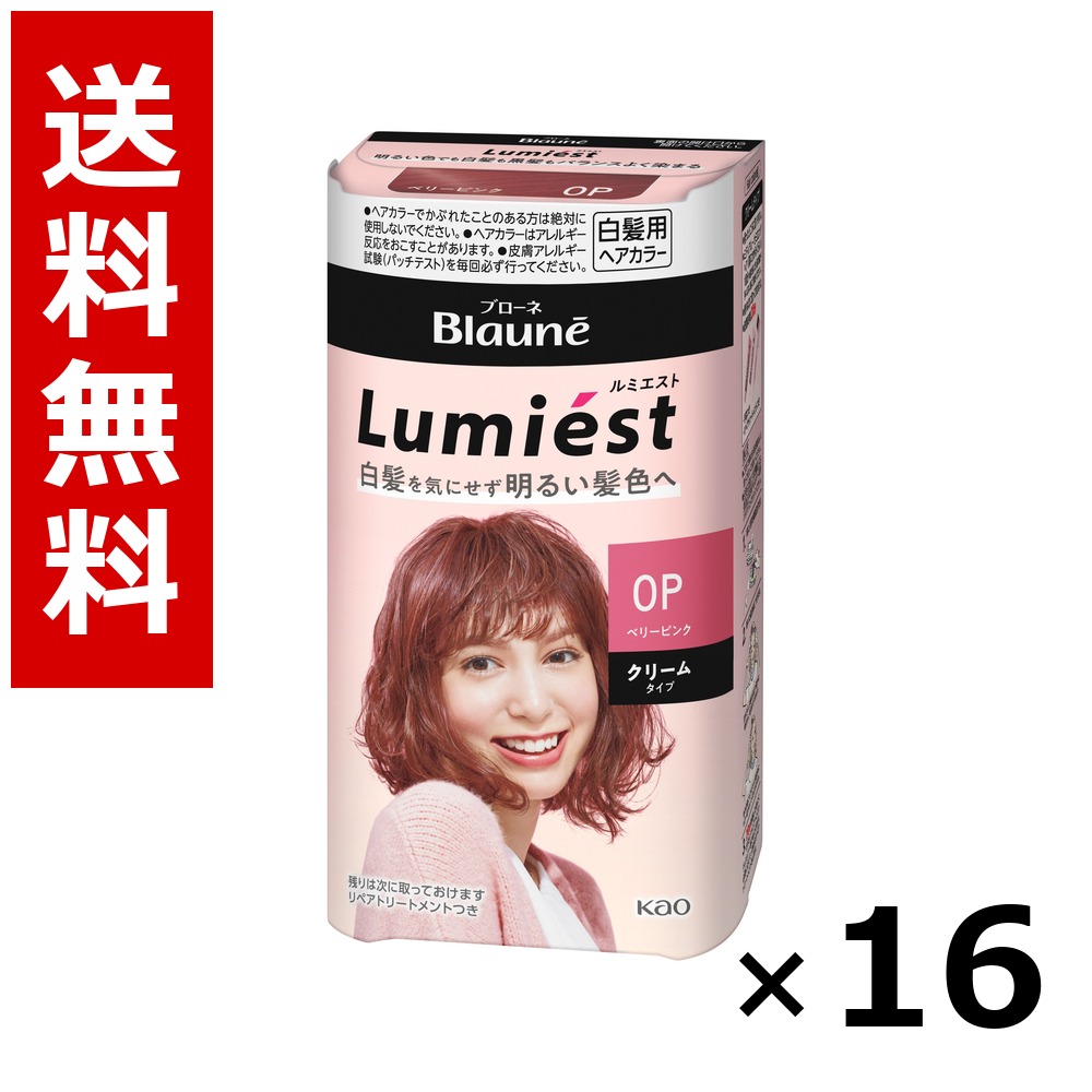 ブローネ ルミエスト 髪の毛色合い 0P 木の実サクラ色 108g × 16個／貨物輸送無料 名取り草 ブローネ  白髪染め 髪の毛色合い 分け取り染め 髪の毛世話をする まとめ買い お役目用 容れもの売りわたす 箱買いつけ 棚卸し資産 日装置 疲労困憊品 大電気容量
